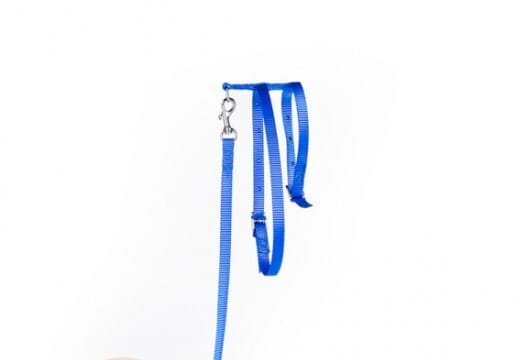 Lesa/Ham cu baveta pentru pisica