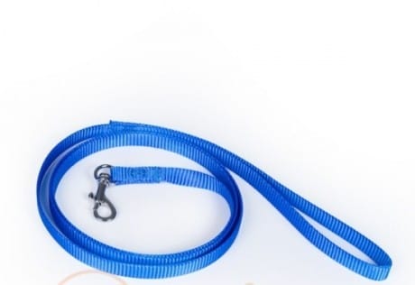 Lesa anipro Sport+ din bandă 1.5/200cm albastru