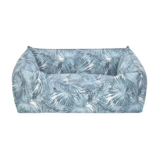 Culcus caini sau pisici albastru-alb, S,