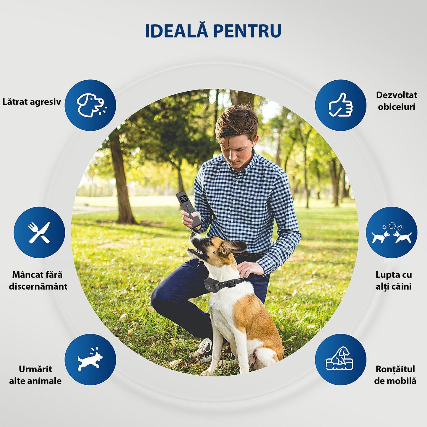 Zgarda electrica cu telecomanda pentru dresajul cainilor