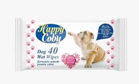 Servește-ți umede pentru câine