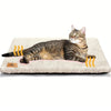 Saltea termica pentru caini si pisici HoneyPet Dimensiuni 61x45cm